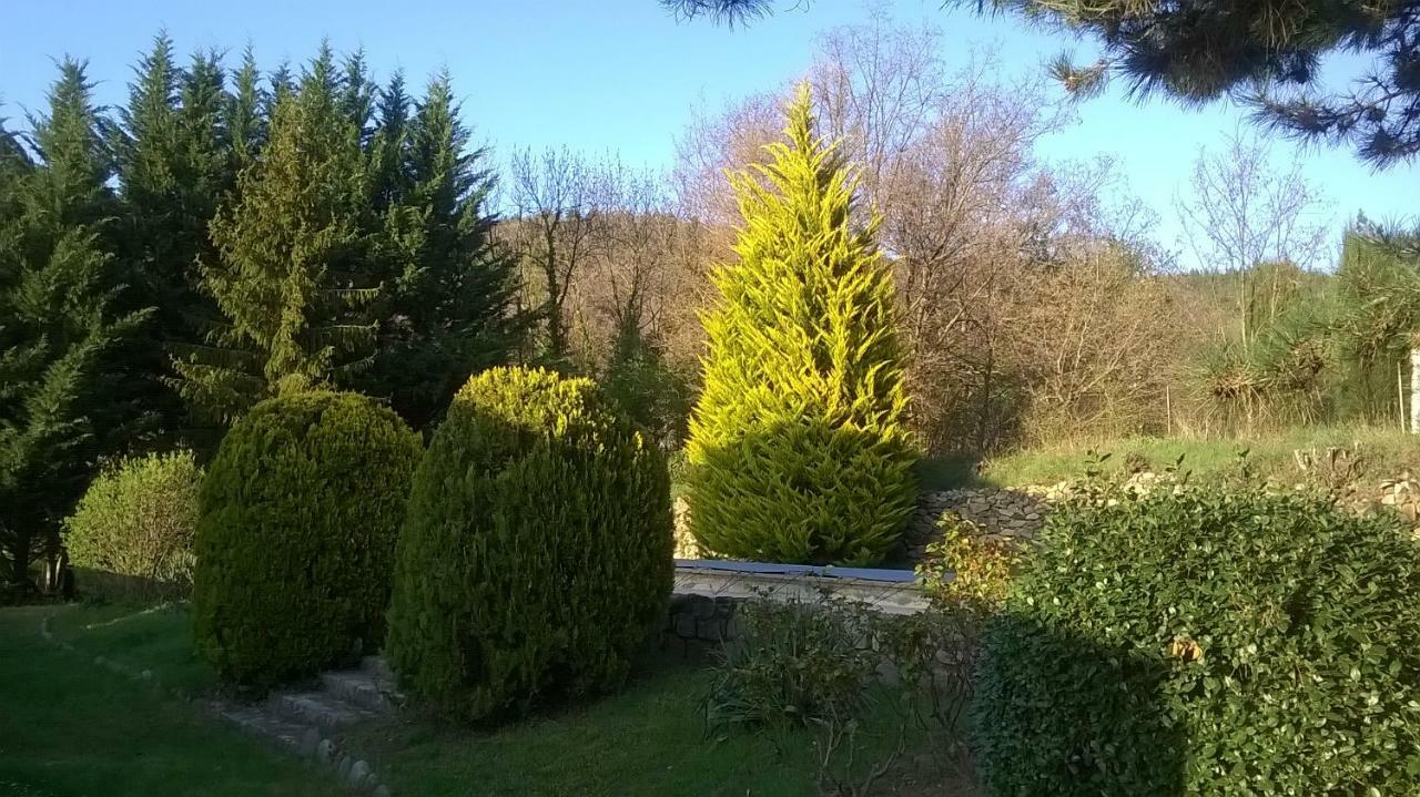 Canigou Lodge Vernet-les-Bains Exterior photo