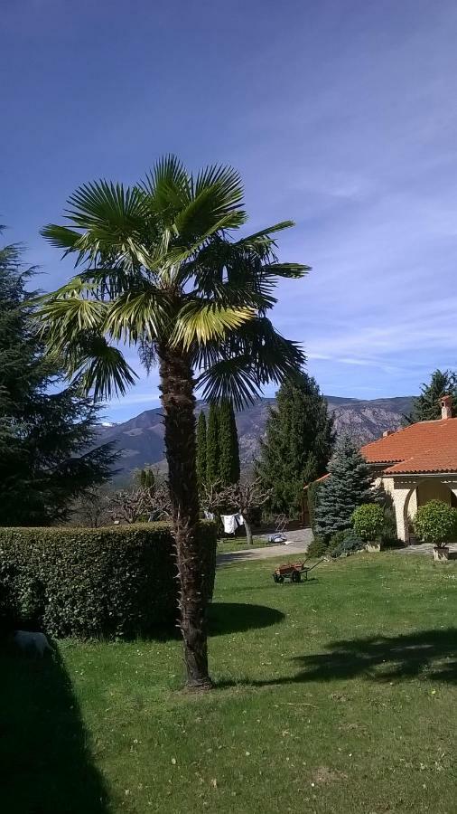 Canigou Lodge Vernet-les-Bains Exterior photo