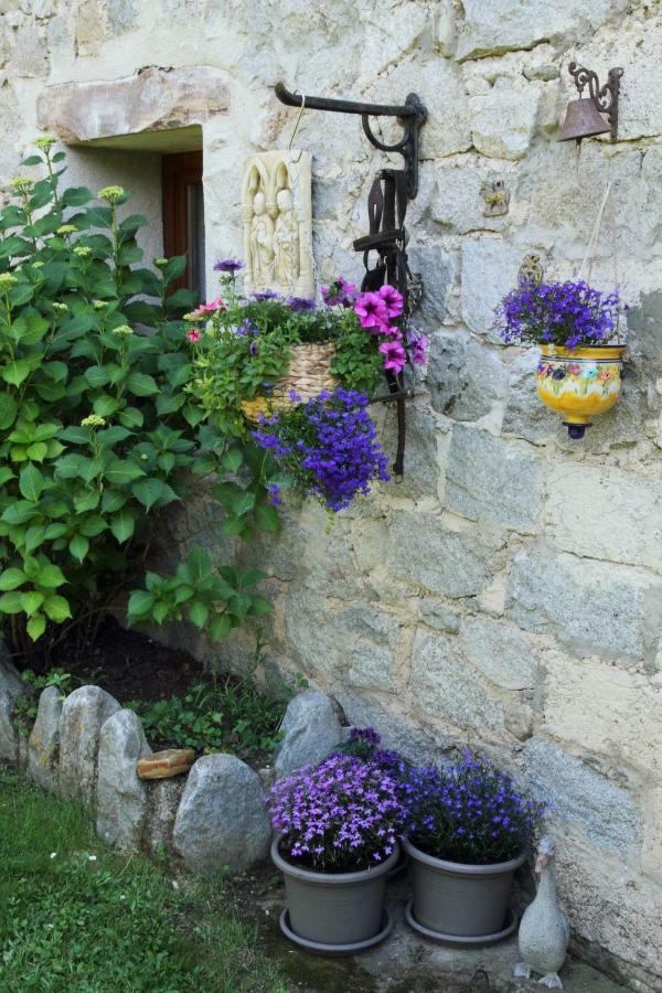 Canigou Lodge Vernet-les-Bains Exterior photo
